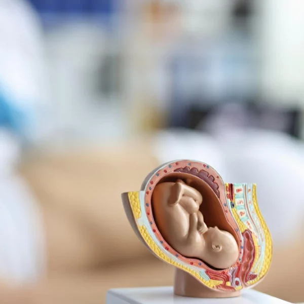 Businesses for Sale in Dubai