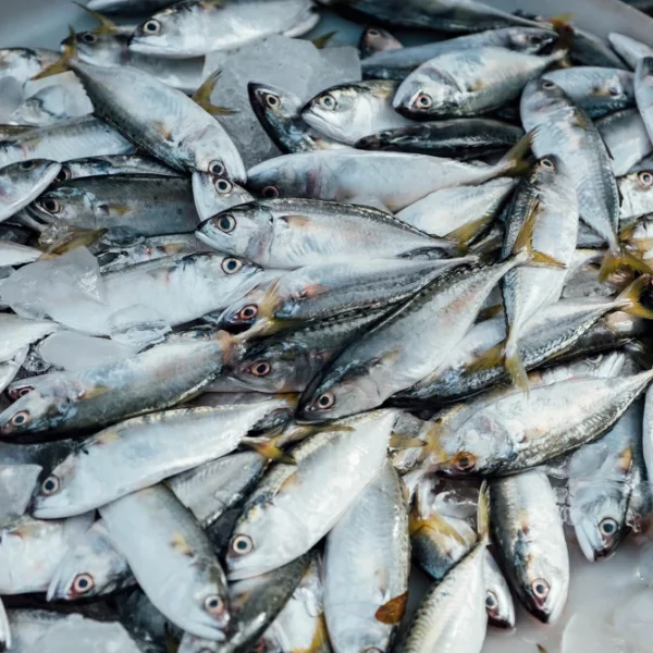 Businesses for Sale in Dubai