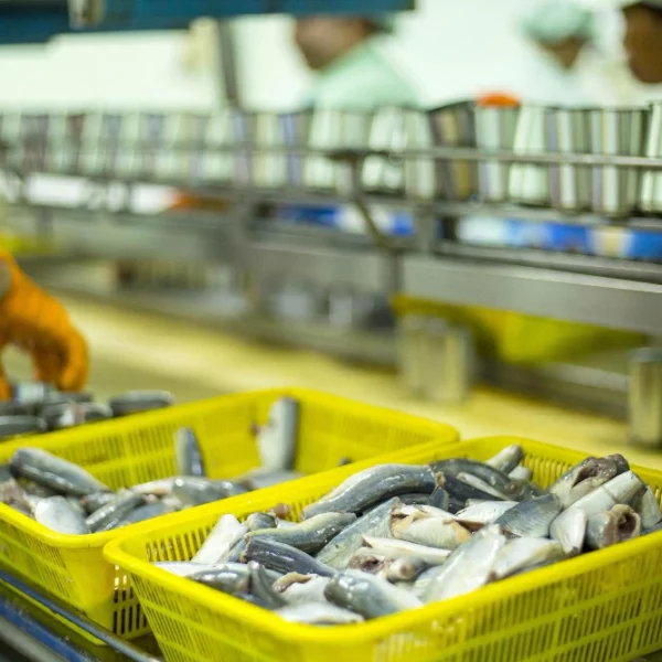 Businesses for Sale in Dubai