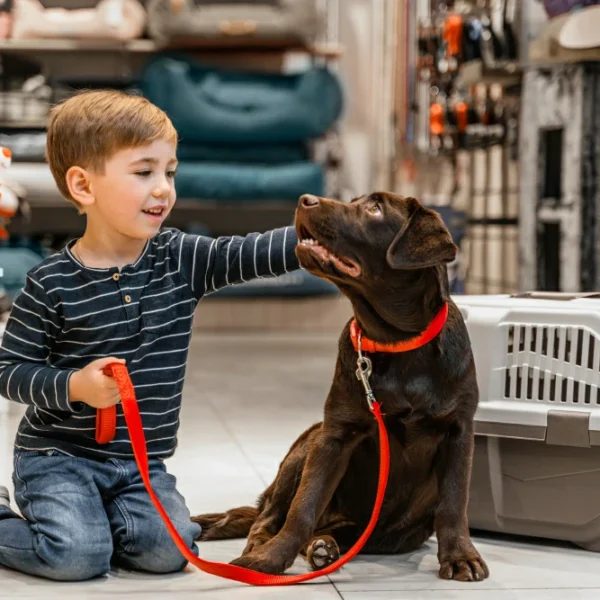 Pet Shop With Grooming Spa And Dog Daycare For Sale