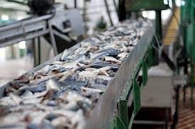 Seafood Fish Processing Business Assets And Property in Ajman For Sale