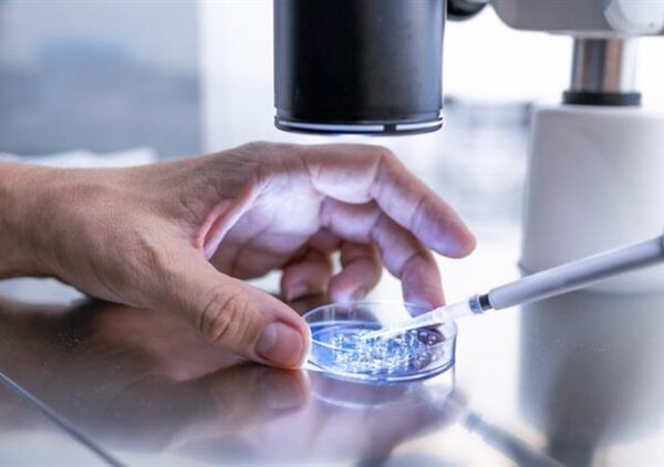 IVF Hospital And Clinic Business In Dubai For Sale